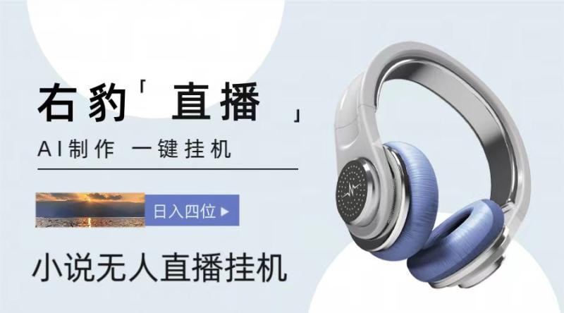 右豹小说无人直播挂机吸金项目，简单易行收益稳定， 月入1000+ - 副业心选-副业心选