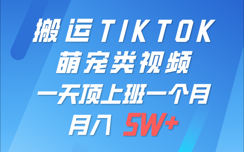 一键搬运TIKTOK萌宠类视频，一部手机即可操作，所有平台均可发布 轻松月入5W+-副业心选