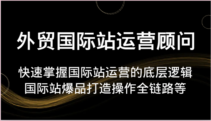 外贸国际站运营顾问-快速掌握国际站运营的底层逻辑，国际站爆品打造操作全链路等-副业心选