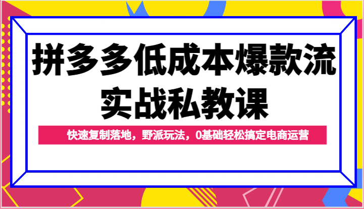 拼多多低成本爆款流实战私教课，快速复制落地，野派玩法，0基础轻松搞定电商运营-副业心选