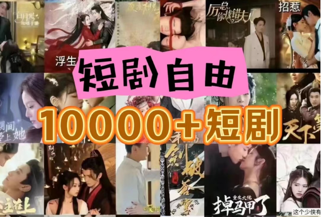 打造完全属于自己的个人短剧库，实现网盘拉新与私域变现的完美融合！-副业心选