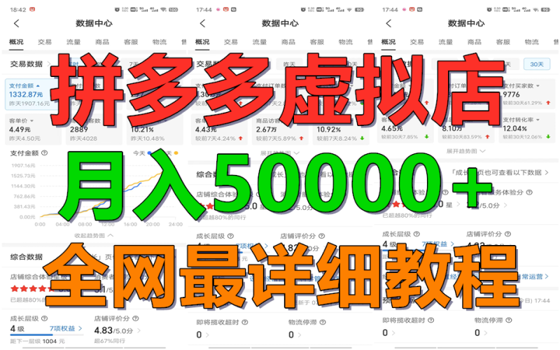 拼多多虚拟电商训练营月入50000+你也行，暴利稳定长久，副业首选-副业心选