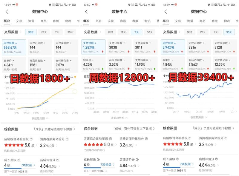 图片[3]-拼多多虚拟电商训练营月入50000+你也行，暴利稳定长久，副业首选 - 副业心选-副业心选