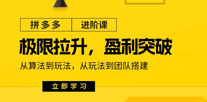 拼多多进阶课：极限拉升/盈利突破：从算法到玩法 从玩法到团队搭建（18节）-副业心选