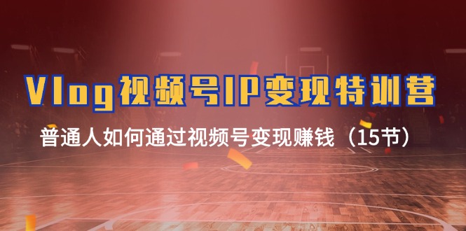 Vlog视频号IP变现特训营，普通人如何通过视频号变现赚钱（15节）-副业心选