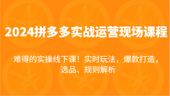 2024拼多多实战运营现场课，实时玩法，爆款打造，选品、规则解析，难得的实操线下课！-副业心选