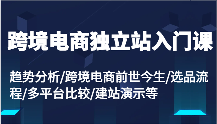 跨境电商独立站入门课：趋势分析/跨境电商前世今生/选品流程/多平台比较/建站演示等-副业心选