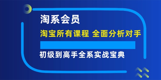 淘系会员初级到高手全系实战宝典【淘宝所有课程，全面分析对手】-副业心选