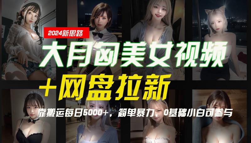【新思路】大月匈美女视频+网盘拉新，靠搬运每日5000+，简单暴力，0基础小白可参与-副业心选