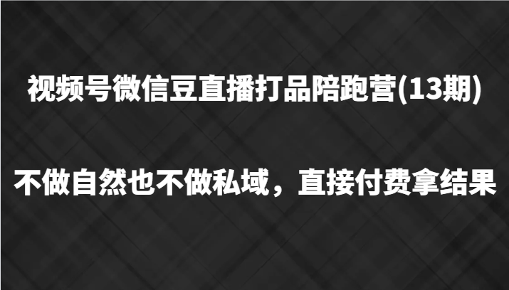 视频号微信豆直播打品陪跑(13期)，不做不自然流不做私域，直接付费拿结果-副业心选