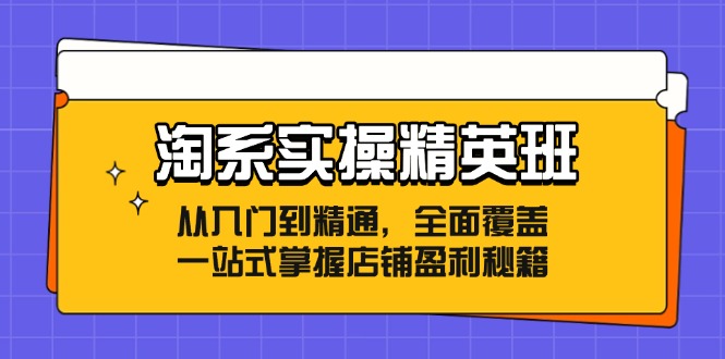 淘系实操精英班：从入门到精通，全面覆盖，一站式掌握店铺盈利秘籍-副业心选