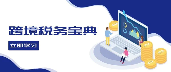 跨境税务宝典教程：跨境电商全球税务处理策略-副业心选