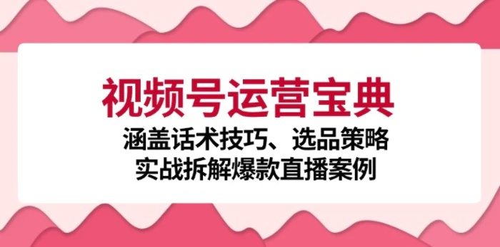 视频号运营宝典：涵盖话术技巧、选品策略、实战拆解爆款直播案例 - 副业心选-副业心选