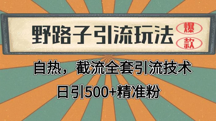 抖音小红书视频号全平台引流打法，全自动引流日引2000+精准客户 - 副业心选-副业心选