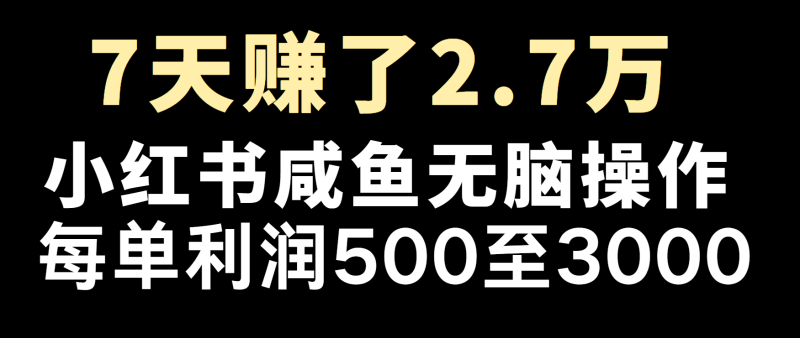 冷门暴利，超级简单的项目0成本玩法，每单在500至4000的利润 - 副业心选-副业心选