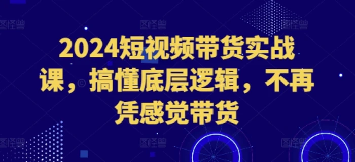 2024短视频带货实战课，搞懂底层逻辑，不再凭感觉带货 - 副业心选-副业心选