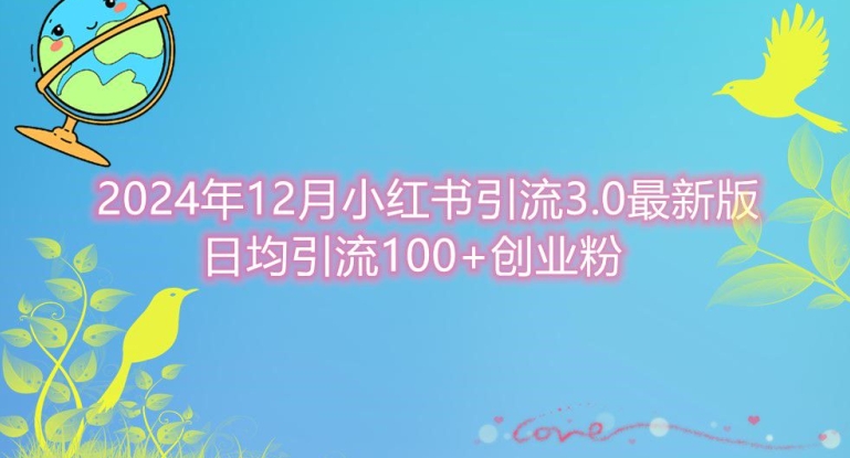 2024年12月小红书引流最新版，日均引流100+创业粉 - 副业心选-副业心选