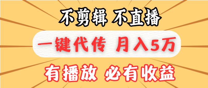 （13555期）不剪辑不直播，一键代发，月入5万懒人必备，我出视频你来发-副业心选