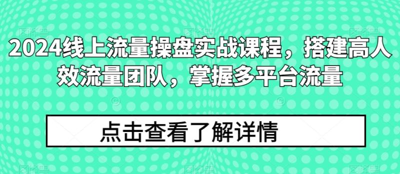 2024线上流量操盘实战课程，搭建高人效流量团队，掌握多平台流量 - 副业心选-副业心选