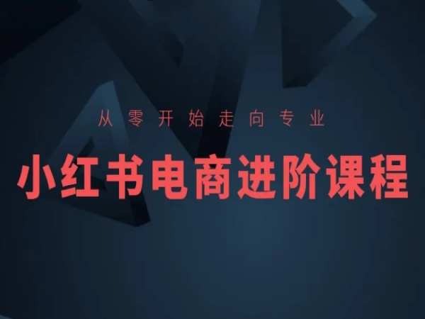 从零开始走向专业，小红书电商进阶课程-副业心选