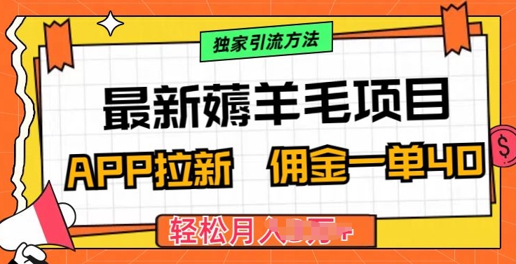 最新薅羊毛项目，利用购物APP拉新，佣金一单40.配合独家引流方法-副业心选