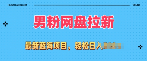 全网最新男粉项目，网盘拉新玩法，小白也可上手操作 - 副业心选-副业心选