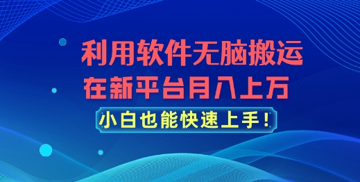 利用软件无脑搬运，在新平台月入上万，小白也能快速上手-副业心选