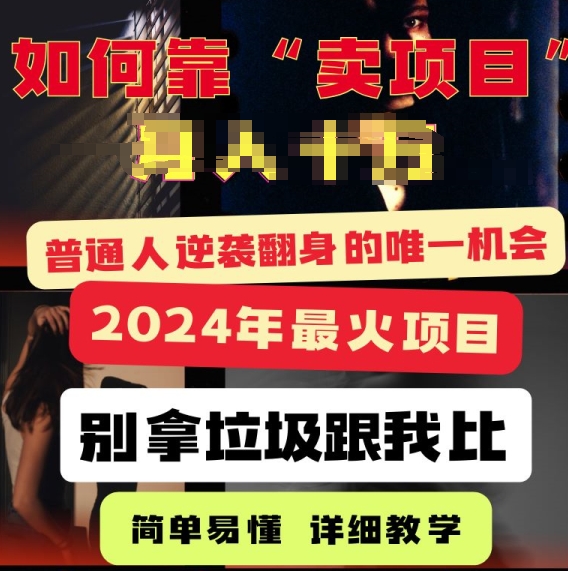 2024年最火项目，如何靠“卖项目”逆装翻身，简单易懂 详细教学 完整版5节课 - 副业心选-副业心选