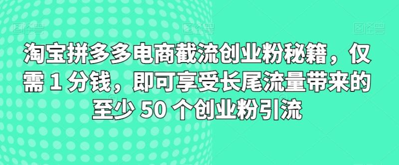 淘宝拼多多电商截流创业粉秘籍，仅需 1 分钱，即可享受长尾流量带来的至少 50 个创业粉引流-副业心选