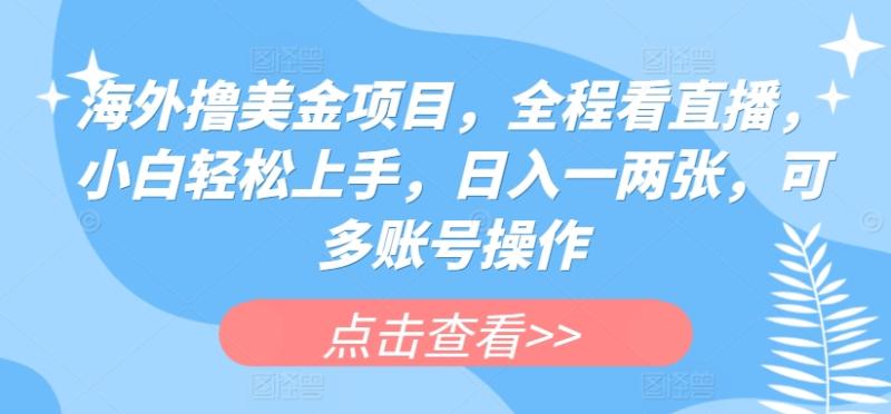 海外撸美金项目，全程看直播，小白轻松上手，日入一两张，可多账号操作【揭秘】 - 副业心选-副业心选