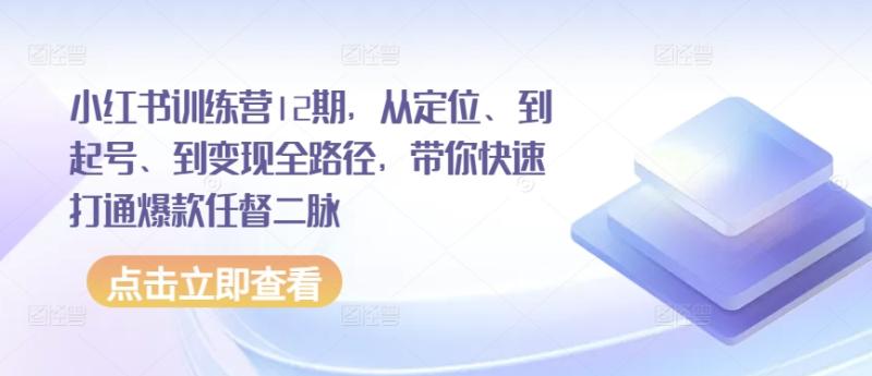 小红书训练营12期，从定位、到起号、到变现全路径，带你快速打通爆款任督二脉 - 副业心选-副业心选