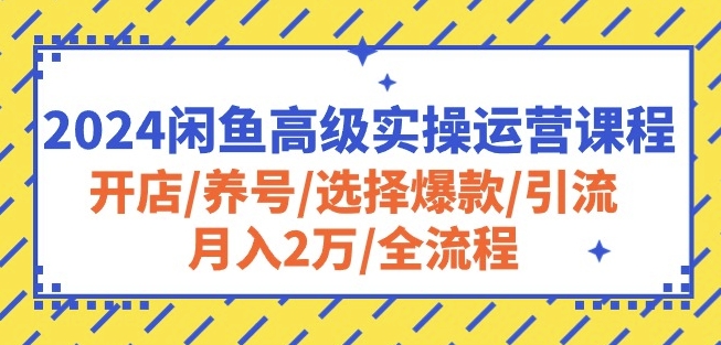 2024闲鱼高级实操运营课程：开店/养号/选择爆款/引流/月入2万/全流程-副业心选