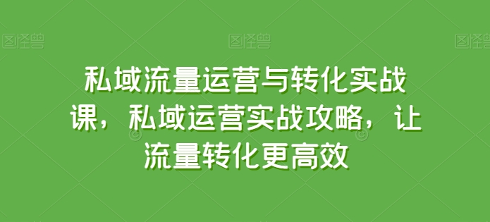 私域流量运营与转化实战课，私域运营实战攻略，让流量转化更高效 - 副业心选-副业心选