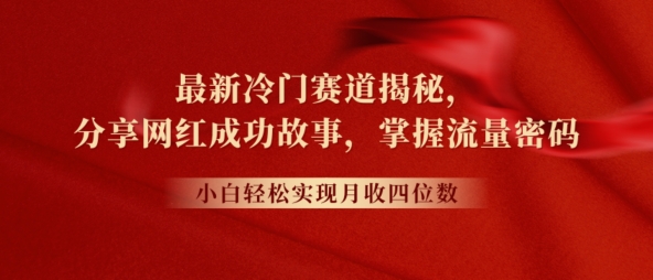 最新冷门赛道揭秘，分享网红成功故事，小白轻松掌握流量密码 - 副业心选-副业心选