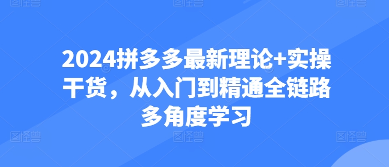 2024拼多多最新理论+实操干货，从入门到精通全链路多角度学习 - 副业心选-副业心选
