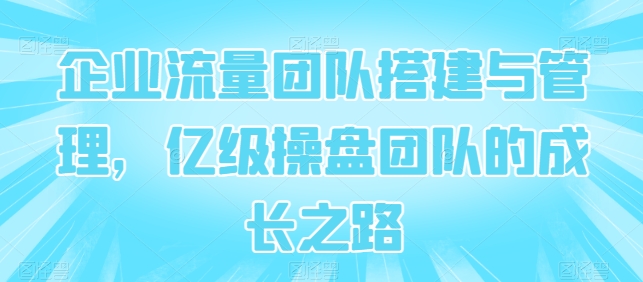 企业流量团队搭建与管理，亿级操盘团队的成长之路 - 副业心选-副业心选