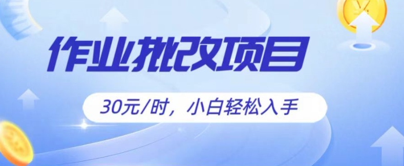 批改作业项目，30元时，简单容易上手，适合宝妈，大学生 - 副业心选-副业心选