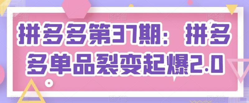 拼多多第37期：拼多多单品裂变起爆2.0 - 副业心选-副业心选