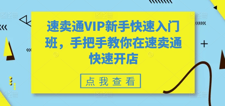 速卖通VIP新手快速入门班，手把手教你在速卖通快速开店 - 副业心选-副业心选