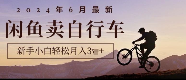 2024年6月最新闲鱼卖自行车，新手小白轻松月入1w+，无风险项目 - 副业心选-副业心选
