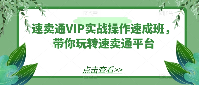 速卖通VIP实战操作速成班，带你玩转速卖通平台 - 副业心选-副业心选