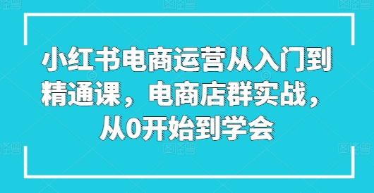小红书电商运营从入门到精通课，电商店群实战，从0开始到学会 - 副业心选-副业心选
