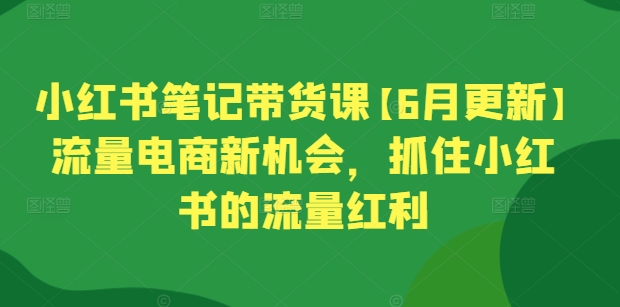 小红书笔记带货课【6月更新】流量电商新机会，抓住小红书的流量红利 - 副业心选-副业心选