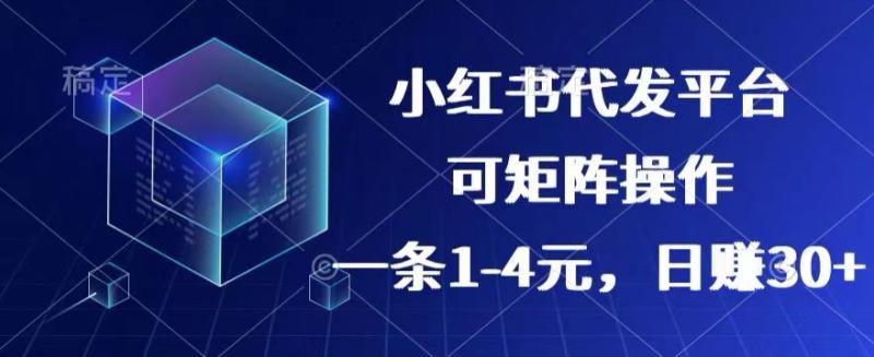 【小红书+抖音】代发平台，一条1~4元，日赚30+的靠谱小项目，可矩阵操作 - 副业心选-副业心选