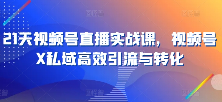 21天视频号直播实战课，视频号X私域高效引流与转化 - 副业心选-副业心选