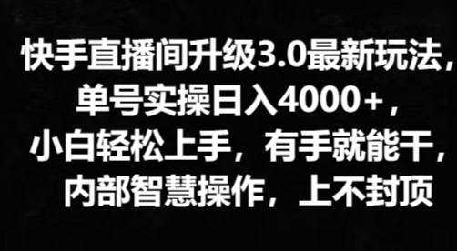 快手直播间升级3.0最新玩法，小白轻松上手，有手就能干，内部智慧操作，上不封顶 - 副业心选-副业心选