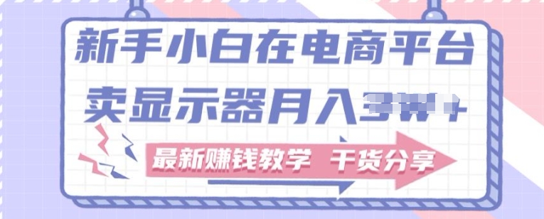 新手小白如何做到在电商平台卖显示器，最新赚钱教学干货分享 - 副业心选-副业心选