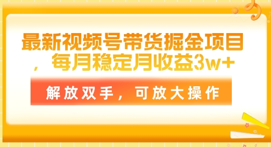 最新视频号带货掘金项目，每月稳定月收益1w+，解放双手，可放大操作 - 副业心选-副业心选