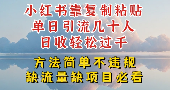 小红书靠复制粘贴单日引流几十人目收轻松过千，方法简单不违规-副业心选