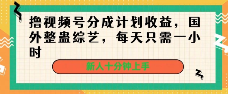撸视频号分成计划收益，国外整蛊综艺，每天只需一小时，新人十分钟上手 - 副业心选-副业心选
